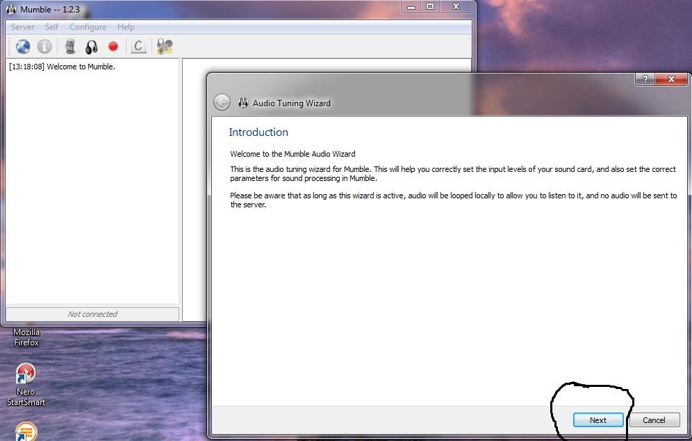 mumble setup 1