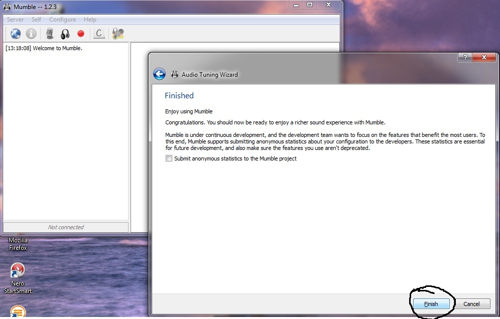 mumble setup 8